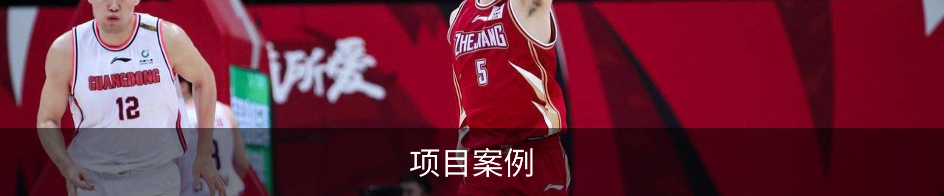 项目案例